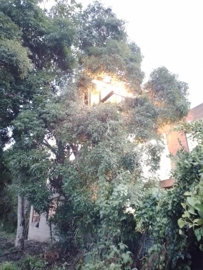 ホテル La Casita Del Arbol Guaduas Cundi. エクステリア 写真