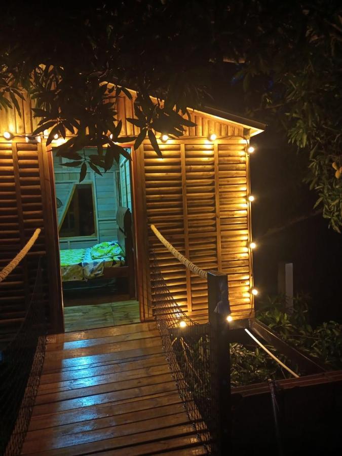 ホテル La Casita Del Arbol Guaduas Cundi. エクステリア 写真
