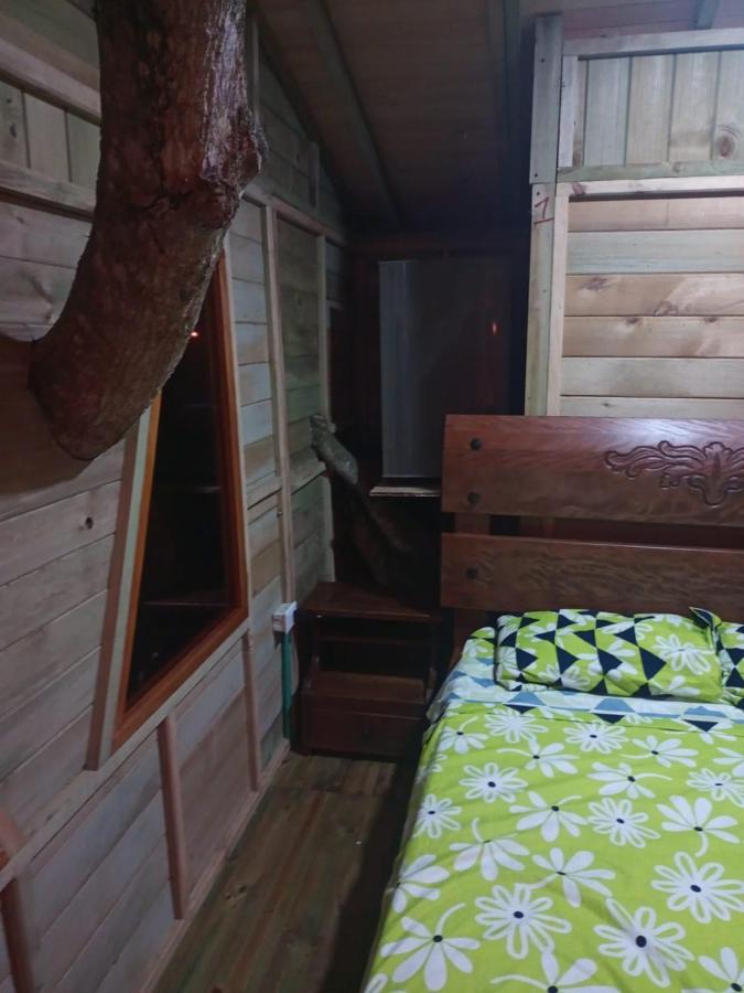 ホテル La Casita Del Arbol Guaduas Cundi. エクステリア 写真