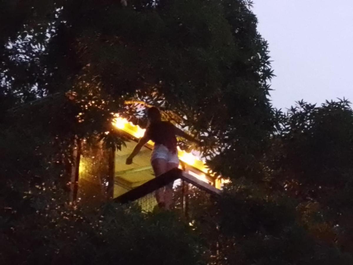 ホテル La Casita Del Arbol Guaduas Cundi. エクステリア 写真