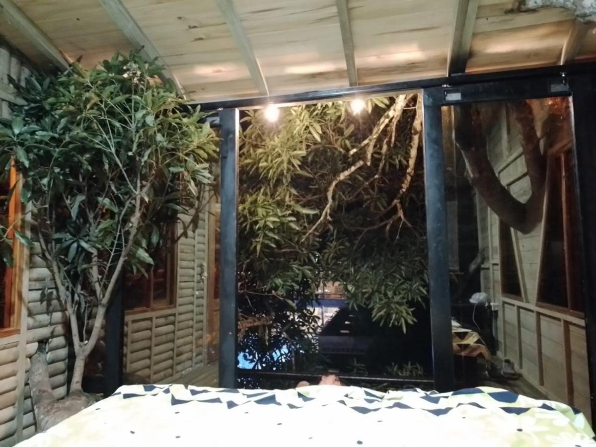 ホテル La Casita Del Arbol Guaduas Cundi. エクステリア 写真