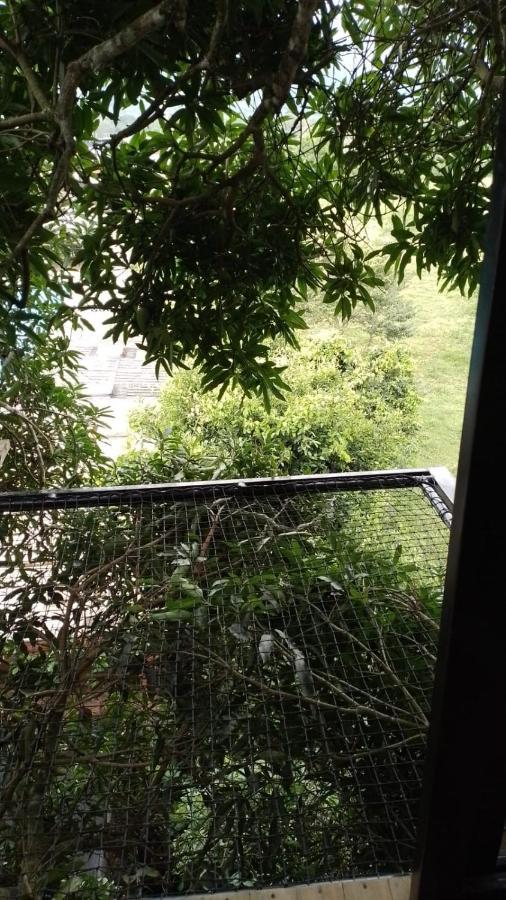 ホテル La Casita Del Arbol Guaduas Cundi. エクステリア 写真