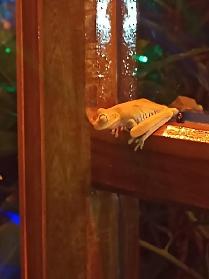 ホテル La Casita Del Arbol Guaduas Cundi. エクステリア 写真