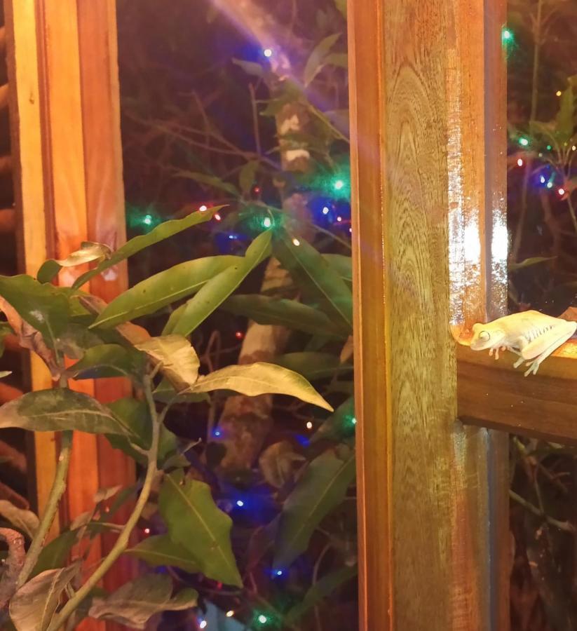ホテル La Casita Del Arbol Guaduas Cundi. エクステリア 写真